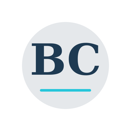 Blake Chimney Services logo